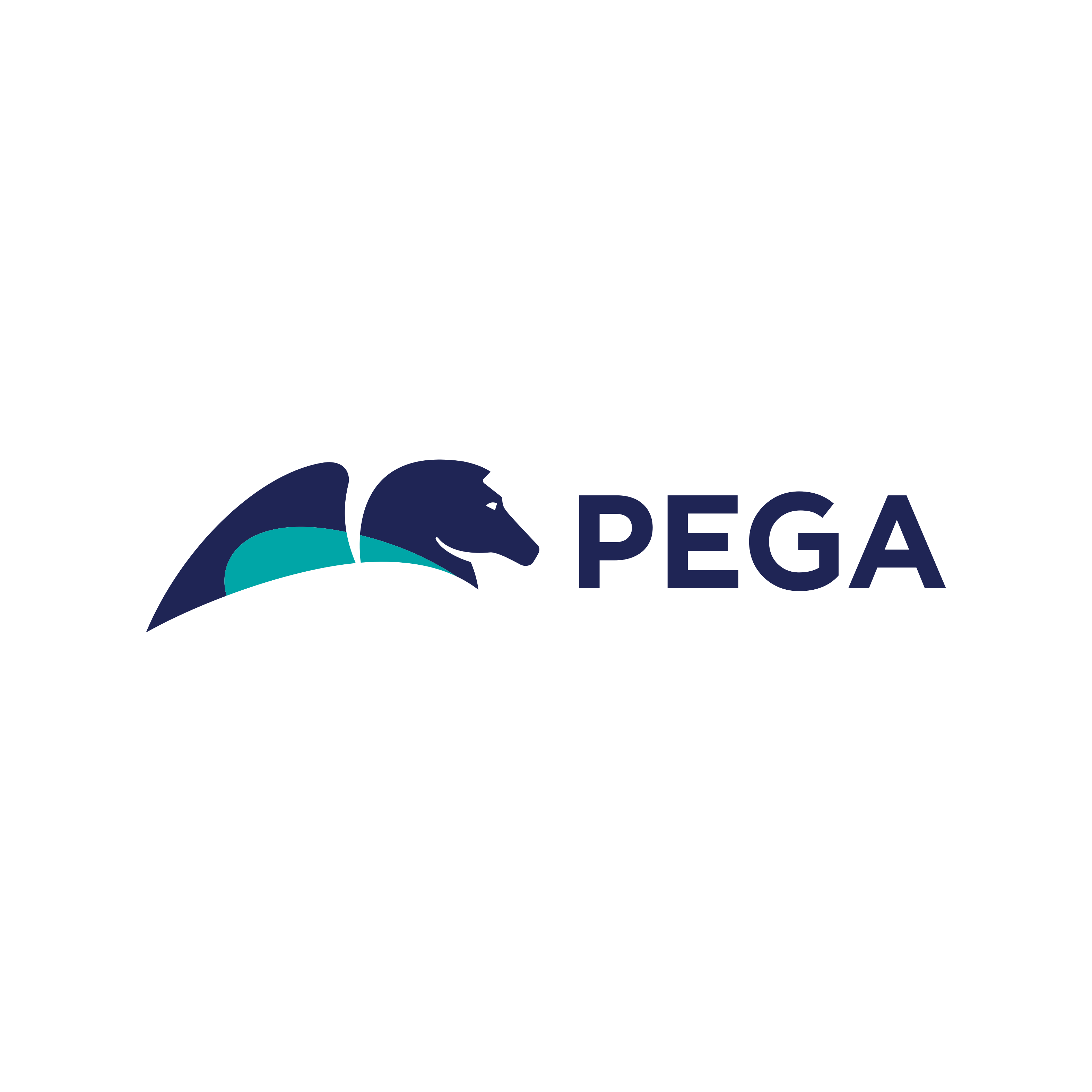 Pegasystems