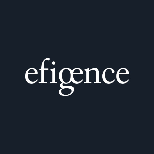 efigence S.A.