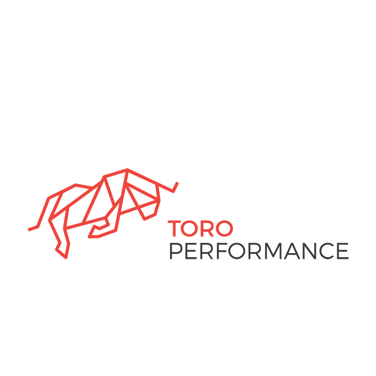 Toro Performance Sp. z o.o.