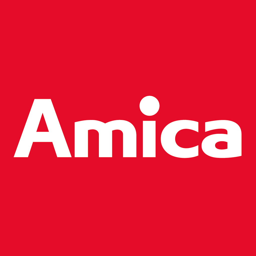 Grupa Amica